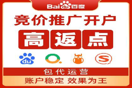 金融行业开户返点策略成功实例